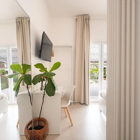 Ethos 3*