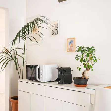 Ethos Affittacamere Quarto dʼAltino
