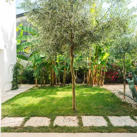 Ethos Quarto dʼAltino